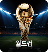 월드컵